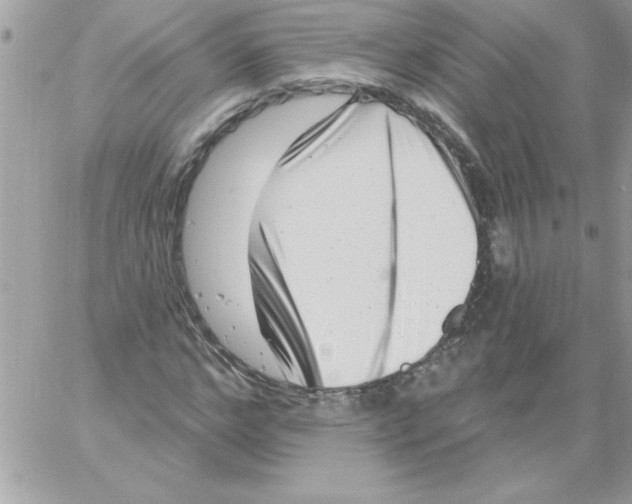 X0000061730968200512302141