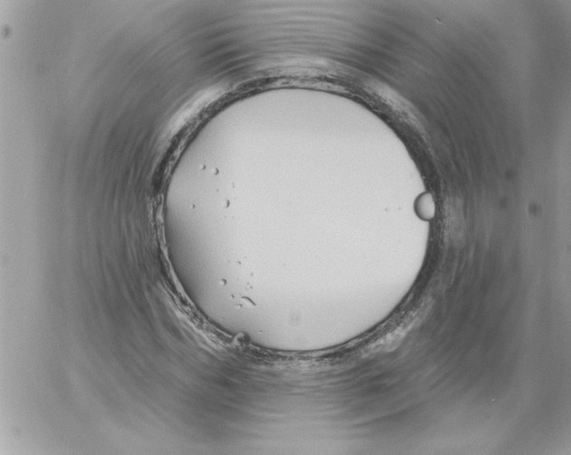 X0000061730970200512302141