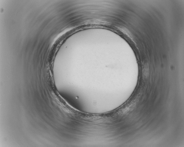 X0000061730971200512302141