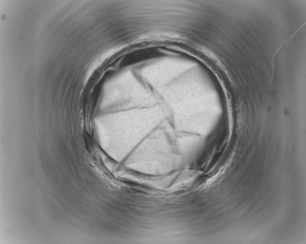 X0000061730973200512302141