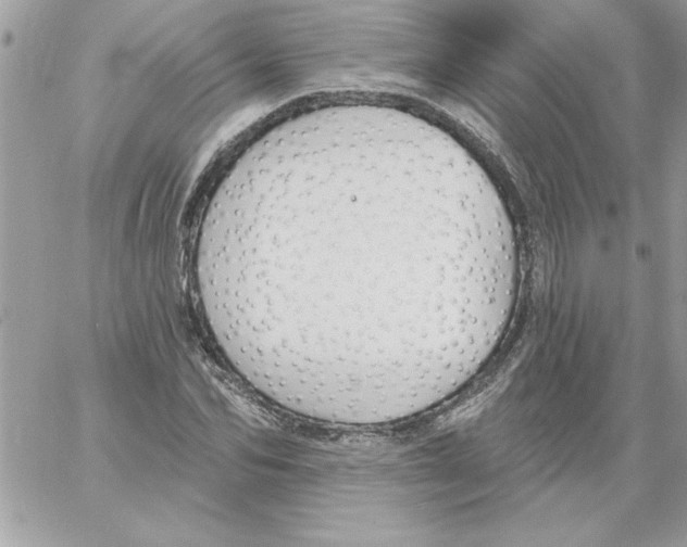 X0000061730974200512302141