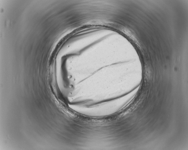 X0000061730976200512302141