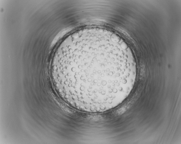 X0000061730978200512302141