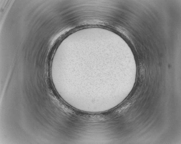 X0000061730979200512302141