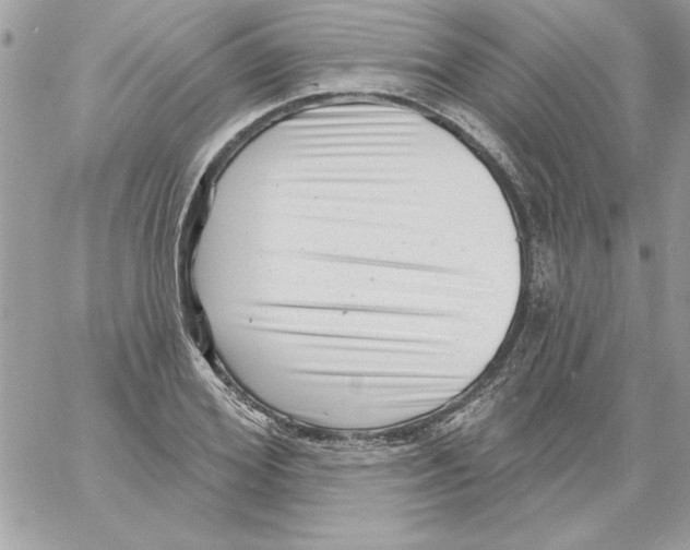 X0000061730980200512302141