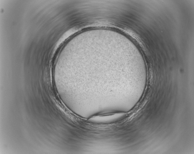 X0000061730982200512302141