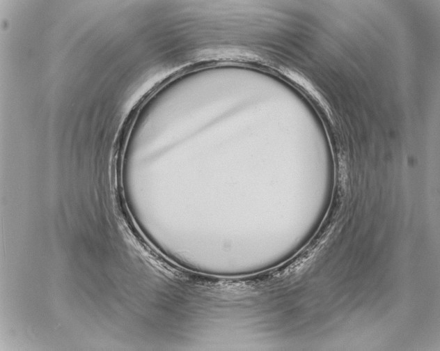 X0000061730983200512302141