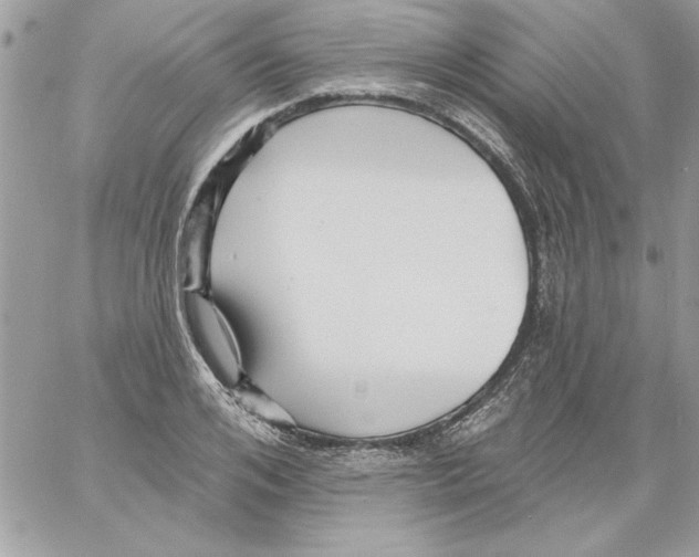 X0000061730984200512302141