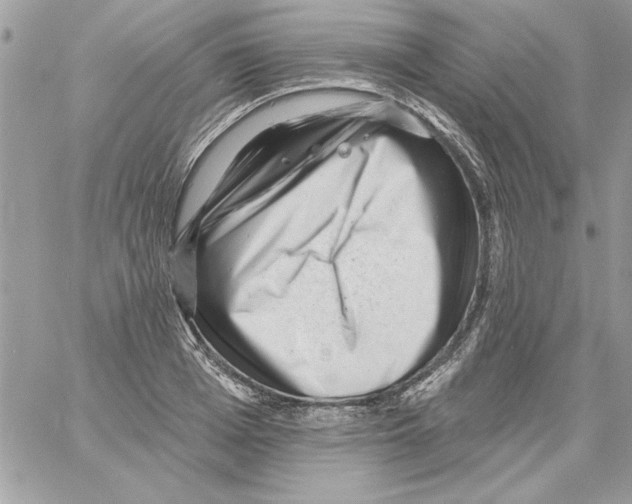 X0000061730985200512302141