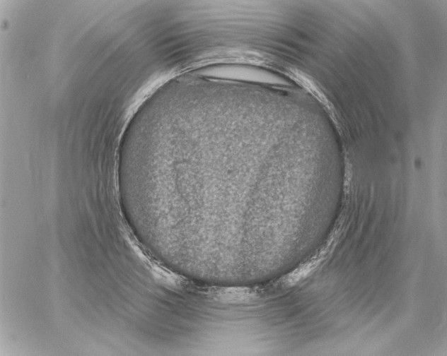 X0000061730986200512302141