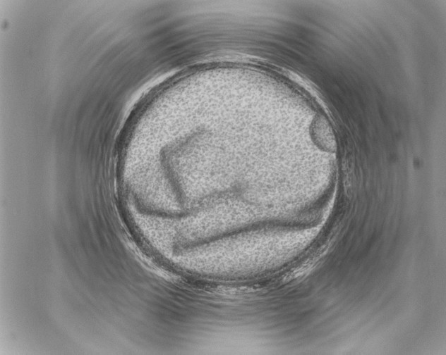 X0000061730987200512302141