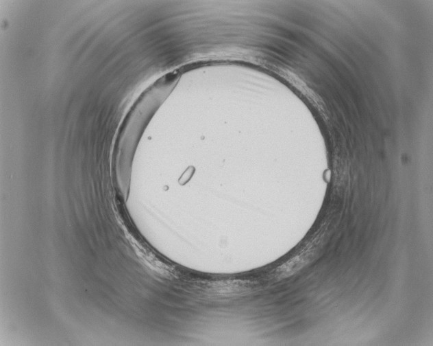 X0000061730988200512302141