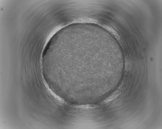 X0000061730990200512302141