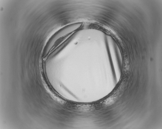 X0000061730991200512302141