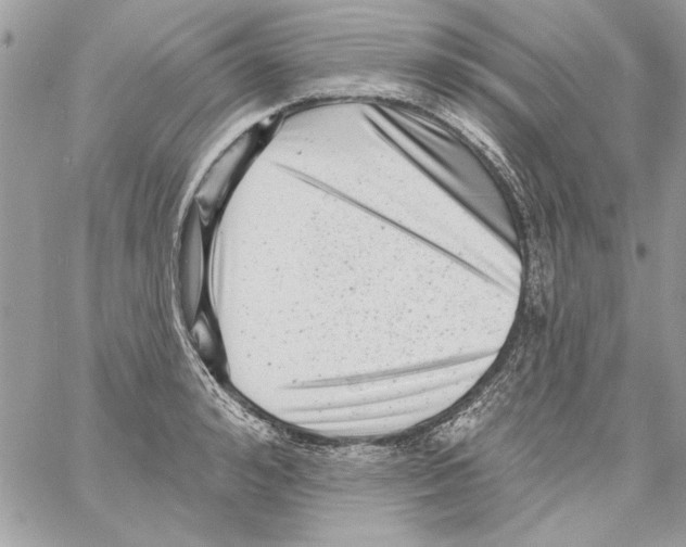 X0000061730992200512302141