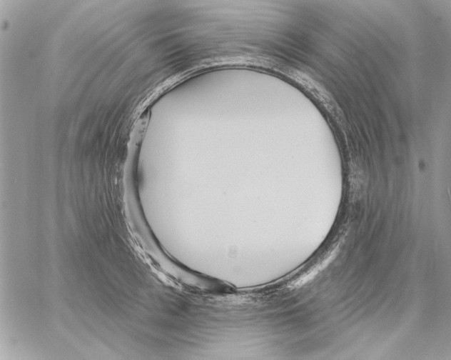 X0000061730993200512302141