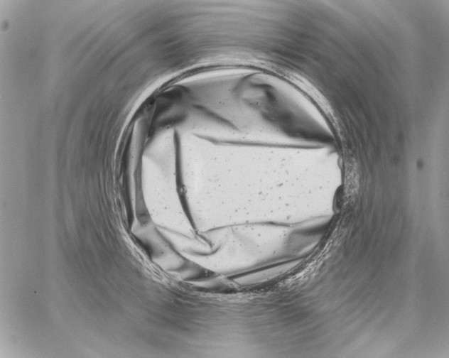 X0000061730996200512302141