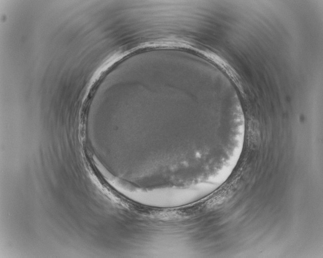 X0000061730998200512302141