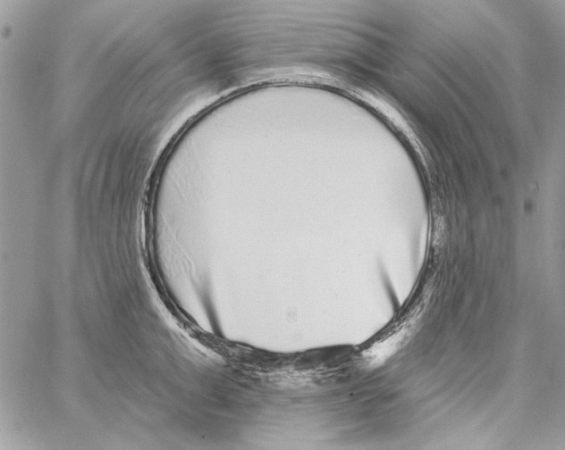 X0000061730999200512302141