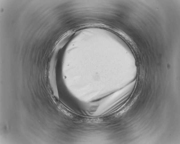 X0000061731001200512302141