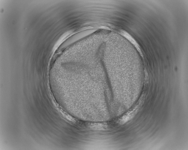 X0000061731002200512302141