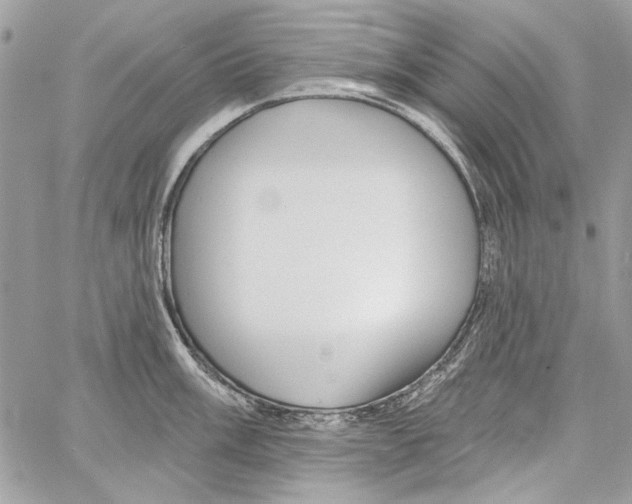 X0000061731003200512302141