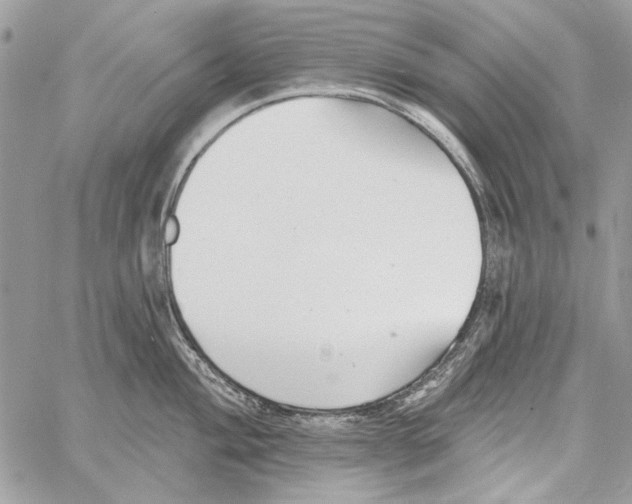 X0000061731004200512302141