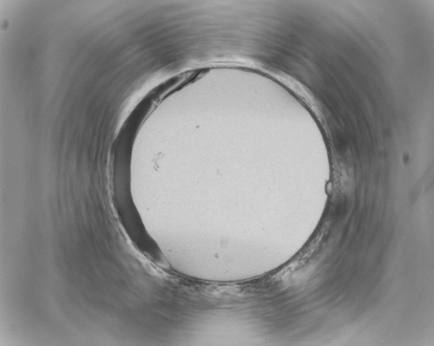 X0000061731006200512302141