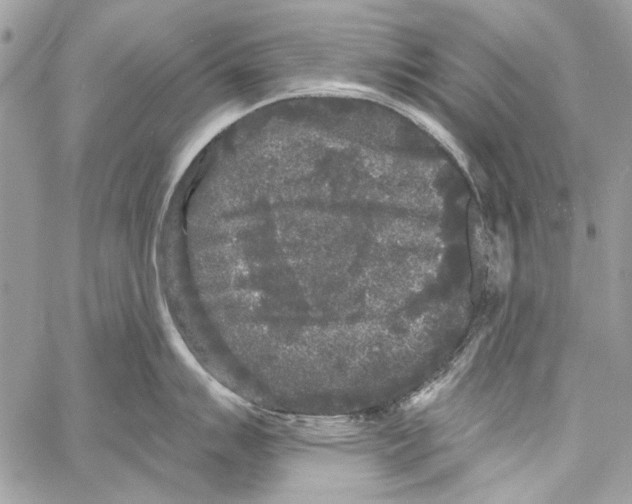 X0000061731007200512302141