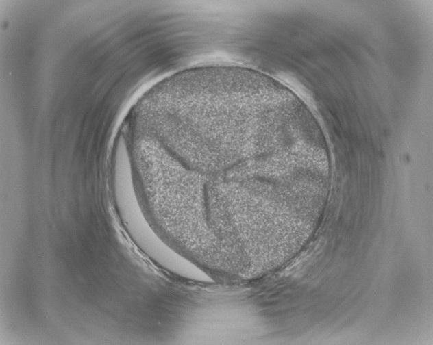 X0000061731008200512302141