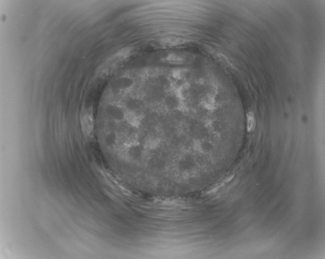 X0000061731011200512302140