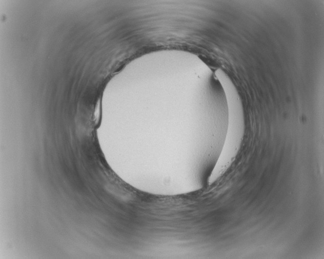 X0000061731012200512302140