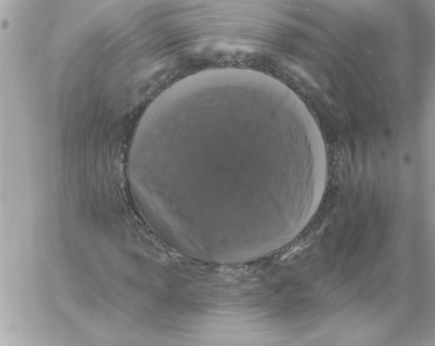 X0000061731013200512302140