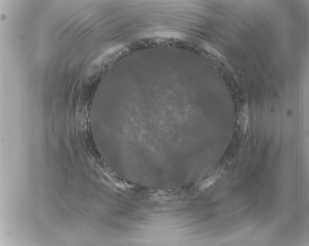 X0000061731014200512302140