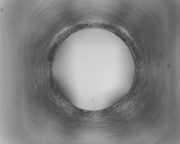 X0000061731016200512302140