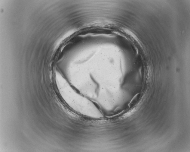 X0000061731018200512302140