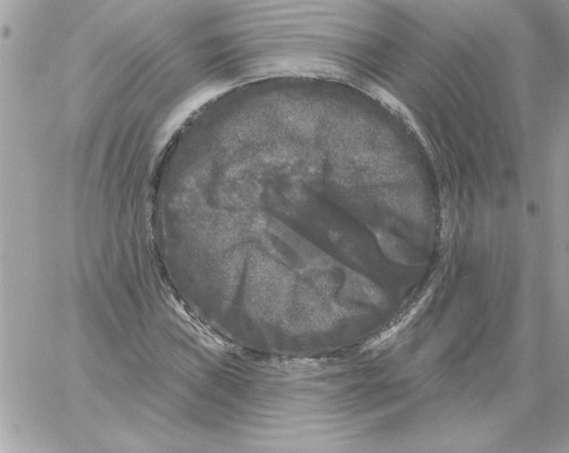 X0000061731019200512302140