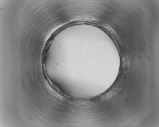 X0000061731020200512302140