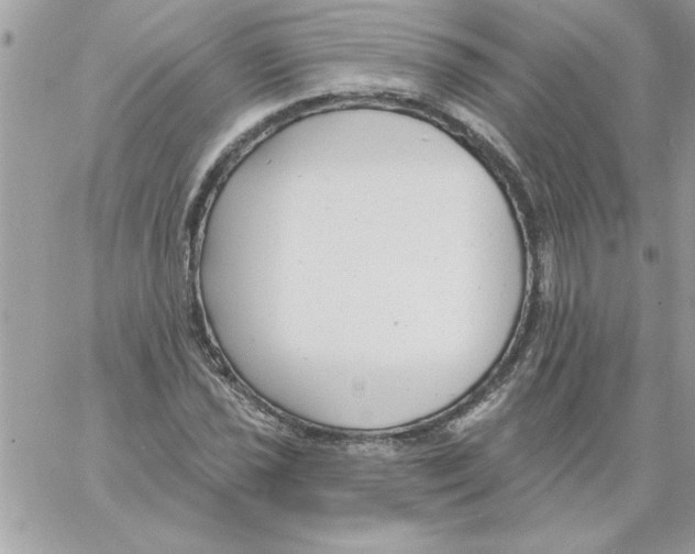 X0000061731021200512302140