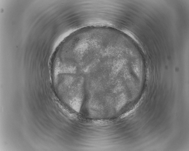 X0000061731022200512302140