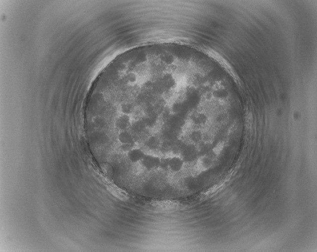 X0000061731023200512302140