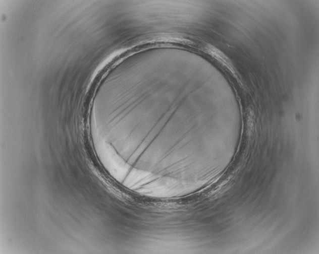 X0000061731024200512302140