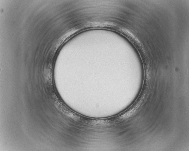 X0000061731025200512302140