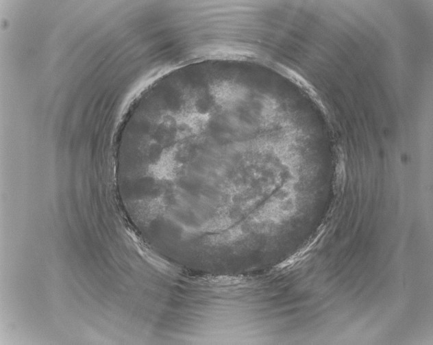 X0000061731027200512302140