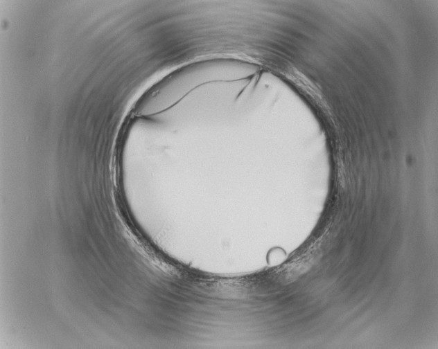 X0000061731028200512302140