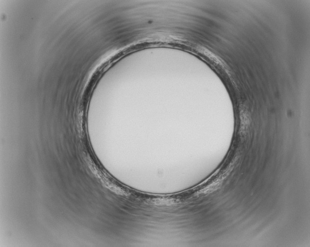 X0000061731029200512302140