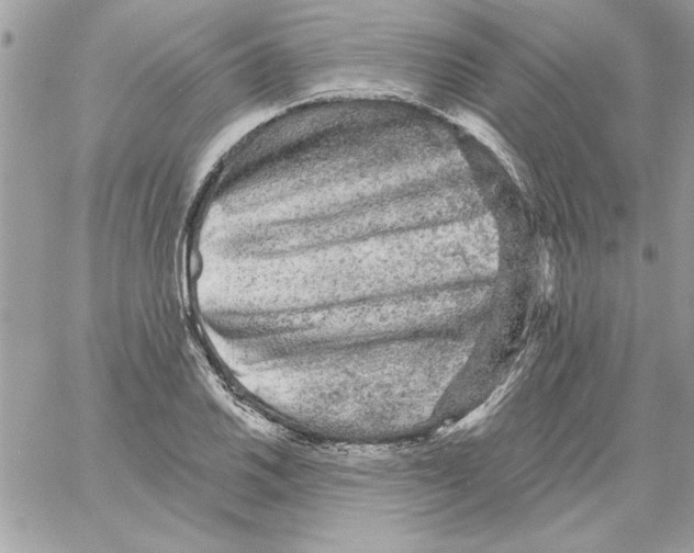 X0000061731030200512302140