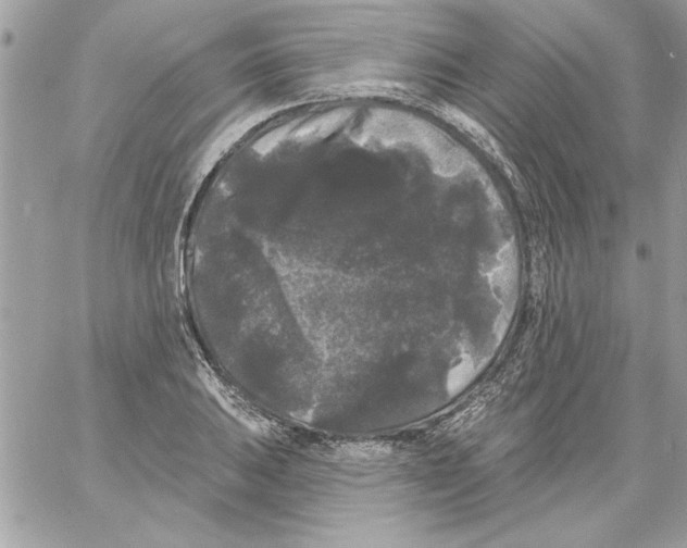 X0000061731031200512302140