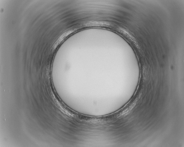 X0000061731033200512302140