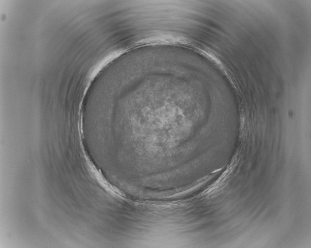 X0000061731034200512302140